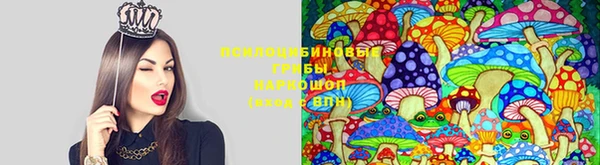 мет Россошь