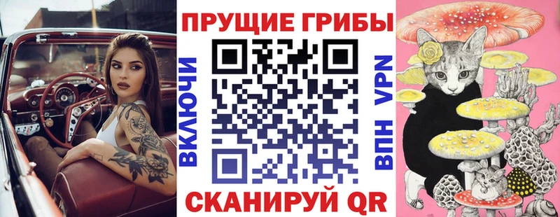 Галлюциногенные грибы Magic Shrooms  Никольск 